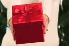 Present Gift wrapped