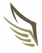 KA Wings Logo