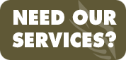 Need Our Services?